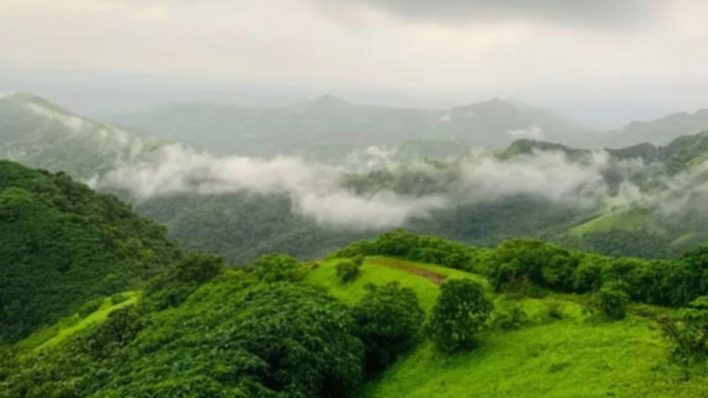 The dark forest of Katlekan: Why we must stop the plunder of the Western Ghats
